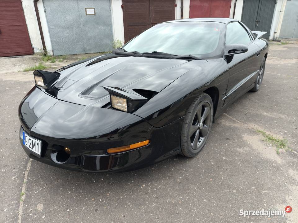 Pontiac Firebird Trans Am 57 V8 232000km wielkopolskie Konin