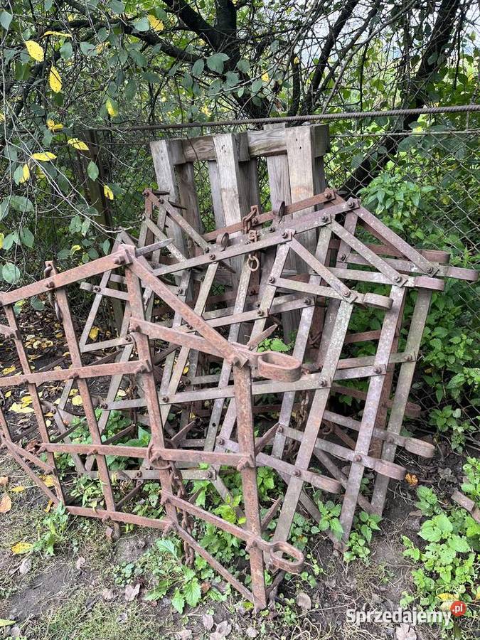 Pola bron podkarpackie