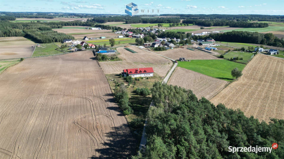 sprzedaży lokalu 61771m2 Świniarc