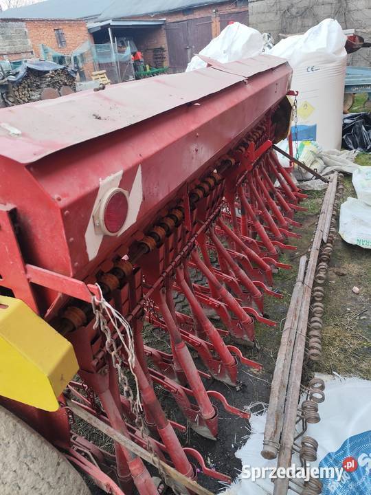 Siewnik poznaniak łódzkie Kurowice
