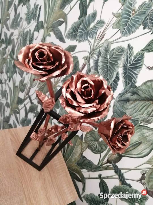 Stalowa róża wieczna róża dolnośląskie sprzedam