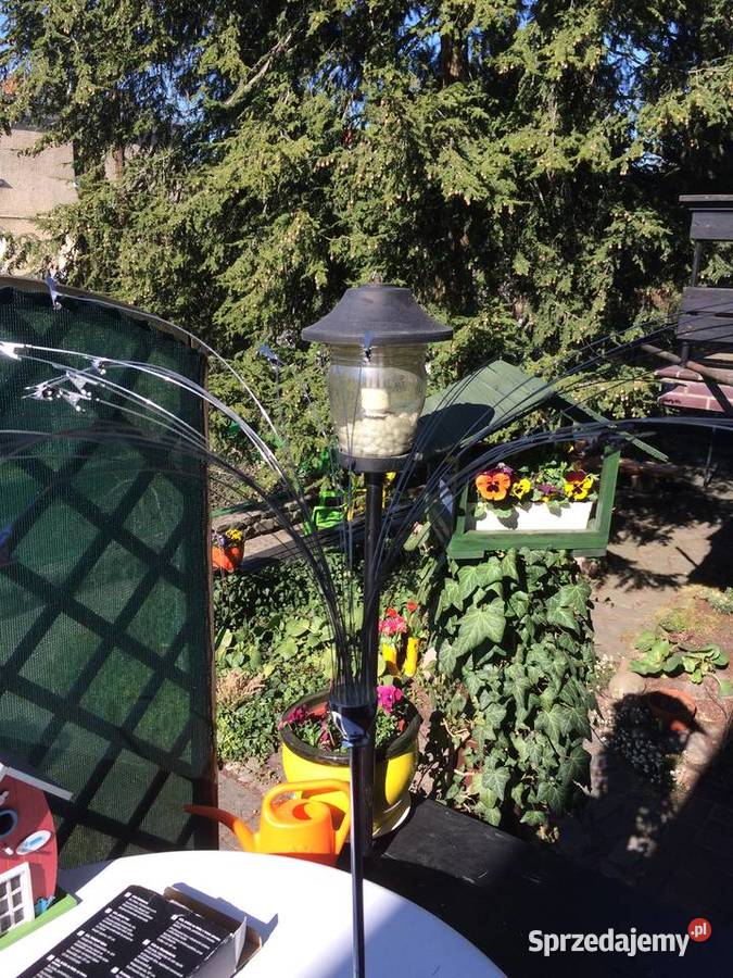 Fotoalbum dzewko tchibo Zielonka