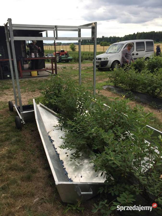 Wózek do zbioru jagody nieuszkodzony