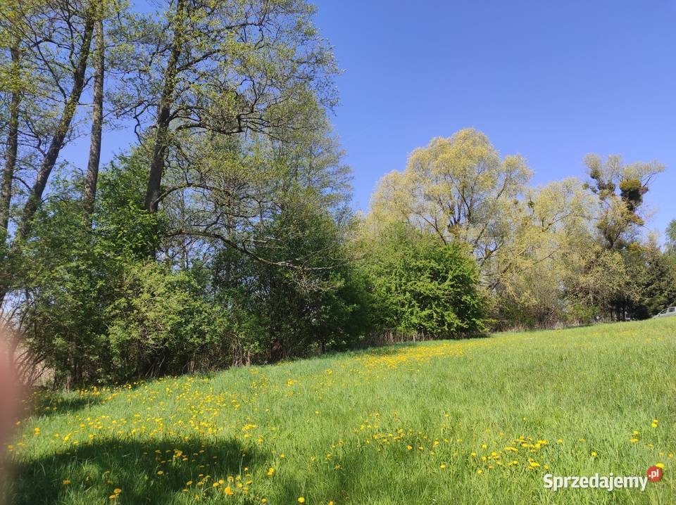 Mazury Działka rzeką Krutyń