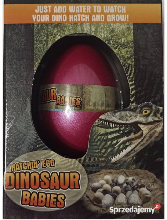 Dinozaur Jajo do Wyklucia Wzrostu MAGIC Dino EGG Mogilany