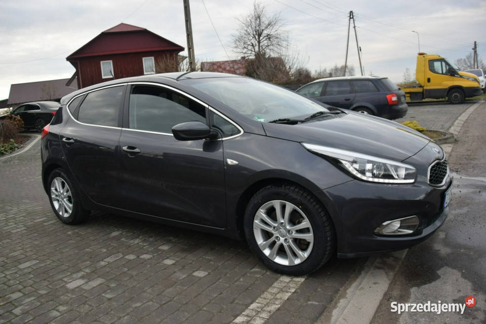 Kia Ceed 14B 107 Navi Kamera Led Oryginał Lakier podkarpackie Majdan Sieniawski