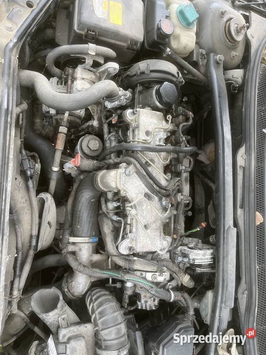 Volvo s60 24 tdi na części Rok produkcji 2002 lubuskie Zielona Góra