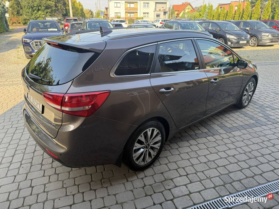 Kia Ceed 16 GDI 135 Klima Navi Kraj Serwis II kurtyny powietrzne śląskie Orzech sprzedam