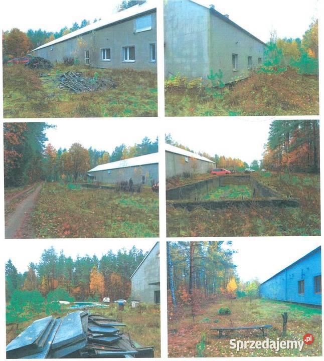 Nieruchomość Wąpiersk dz 4301 warmińsko-mazurskie