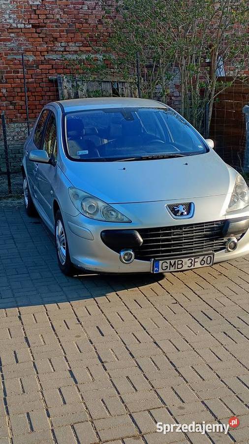 Peugeot 307 benzyna 16 Rok produkcji 2005 Malbork sprzedam
