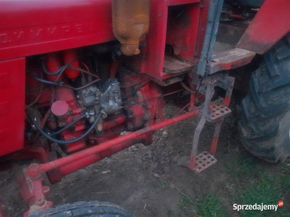 Wladimirec t25 Słomniki