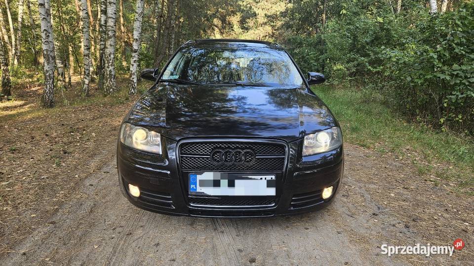 Audi A3 8P 19tdi automat Konstancin-Jeziorna sprzedam