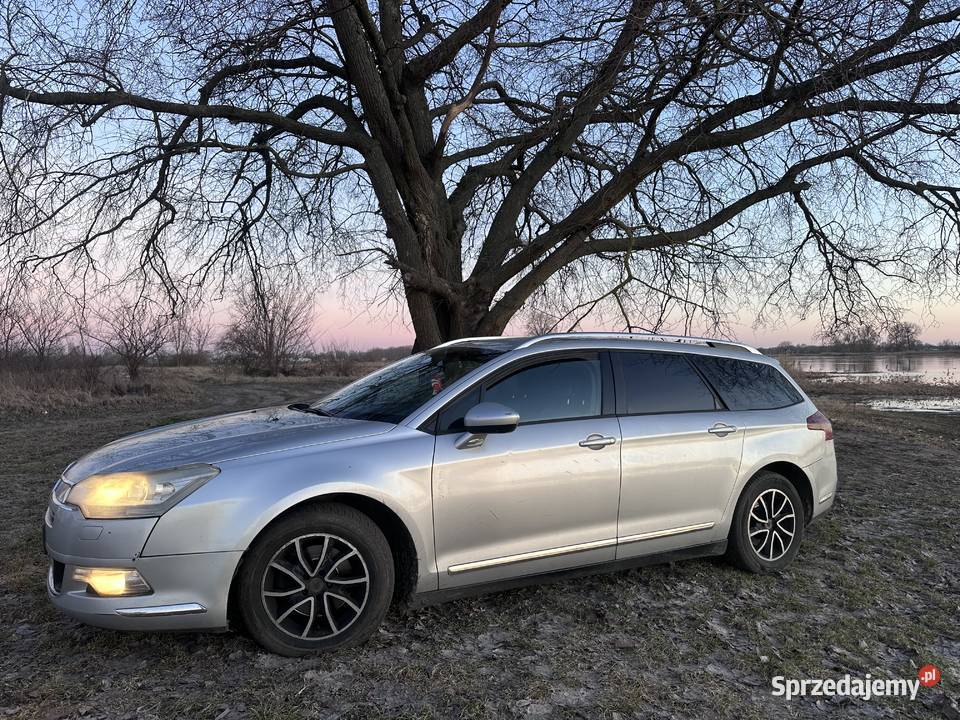 Citroen C5 20HDI 2008 Rok produkcji 2008 Samochody osobowe lubuskie Kostrzyn nad Odrą