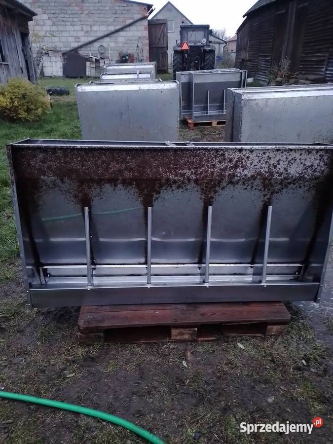 Paśniki świń ze stali nierdzewnej Zaborowo