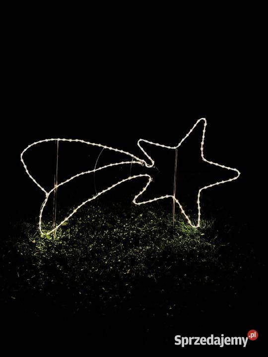 Gwiazda betlejemska ozdoba świąteczna 2D