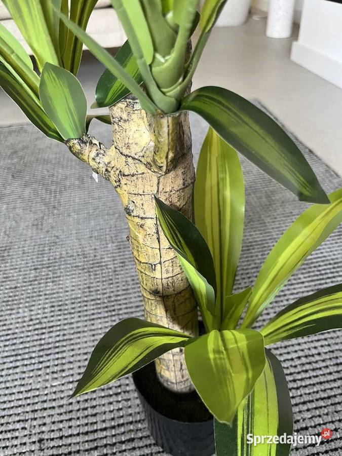 sztuczna dracena w doniczce palma 73 roślina Warszawa