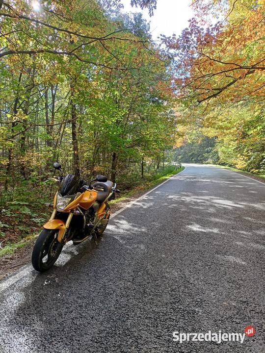 Honda Hornet 2007 Prudnik