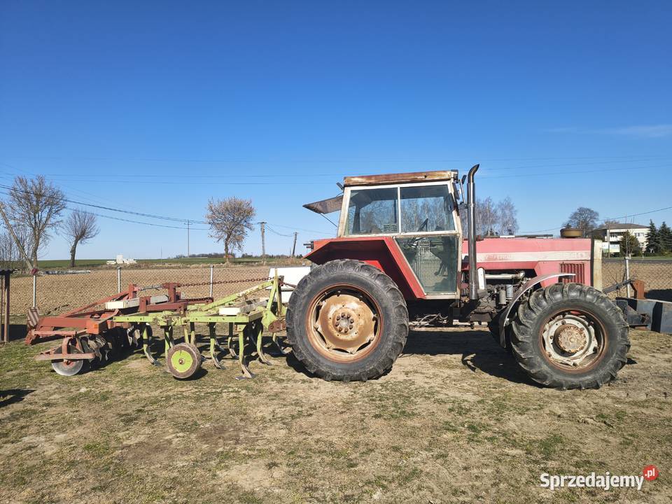 Ciągnik Massey Ferguson 2640 Gruber z talerzówką Szychowo