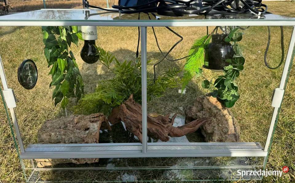 Terarium gekona lamparciego Odbiór osobisty