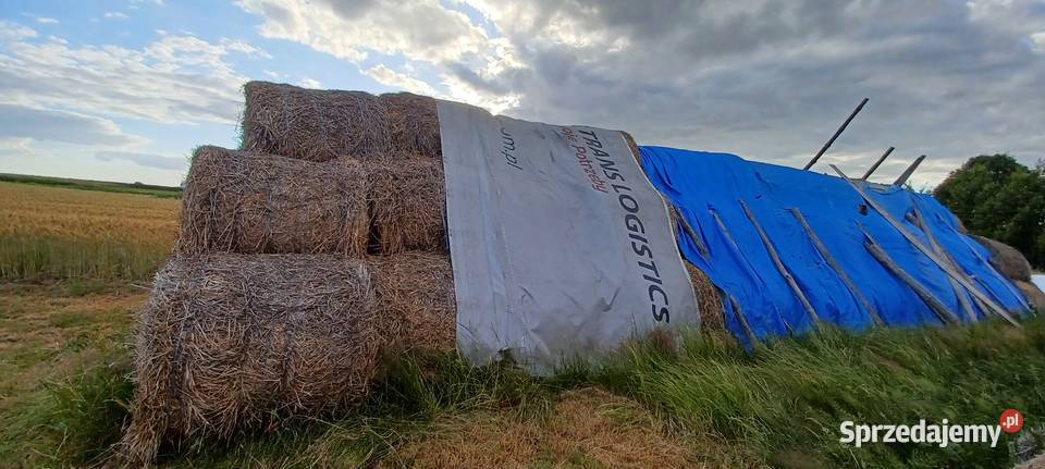 Sprzedam słomę Sędziszów