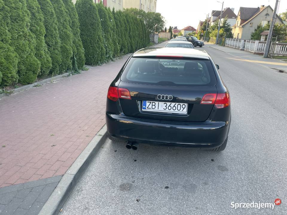 Audi A3 8P 20 TDI 170 Bytów
