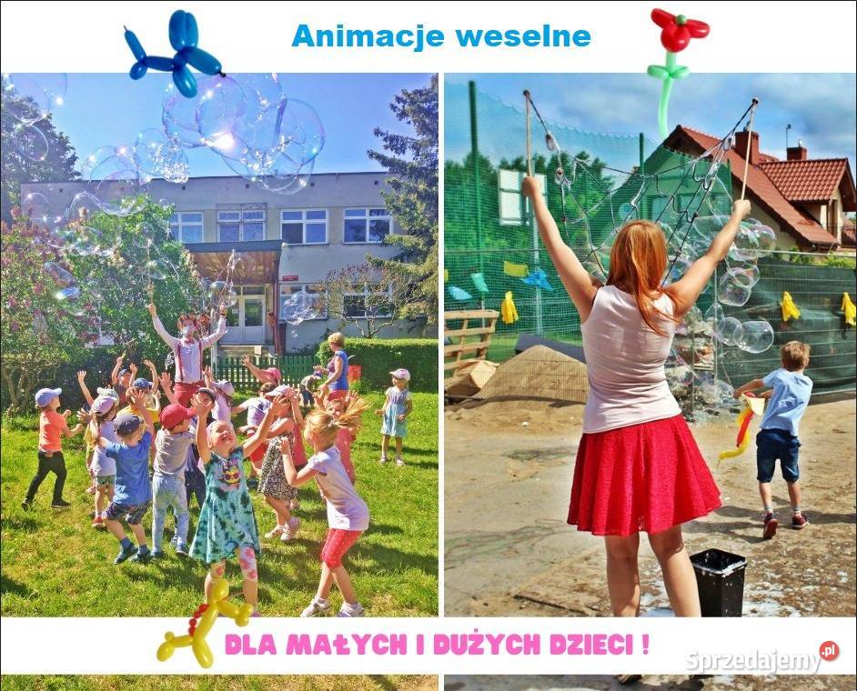 Animacje dzieci animator na weselach Pruszcz Gdański