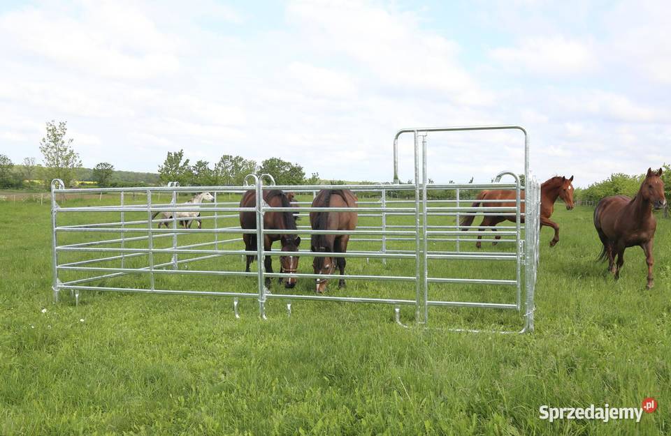 Lonżownik koni menaż lonżownik ocynk ogniowy wielkopolskie Krzywiń