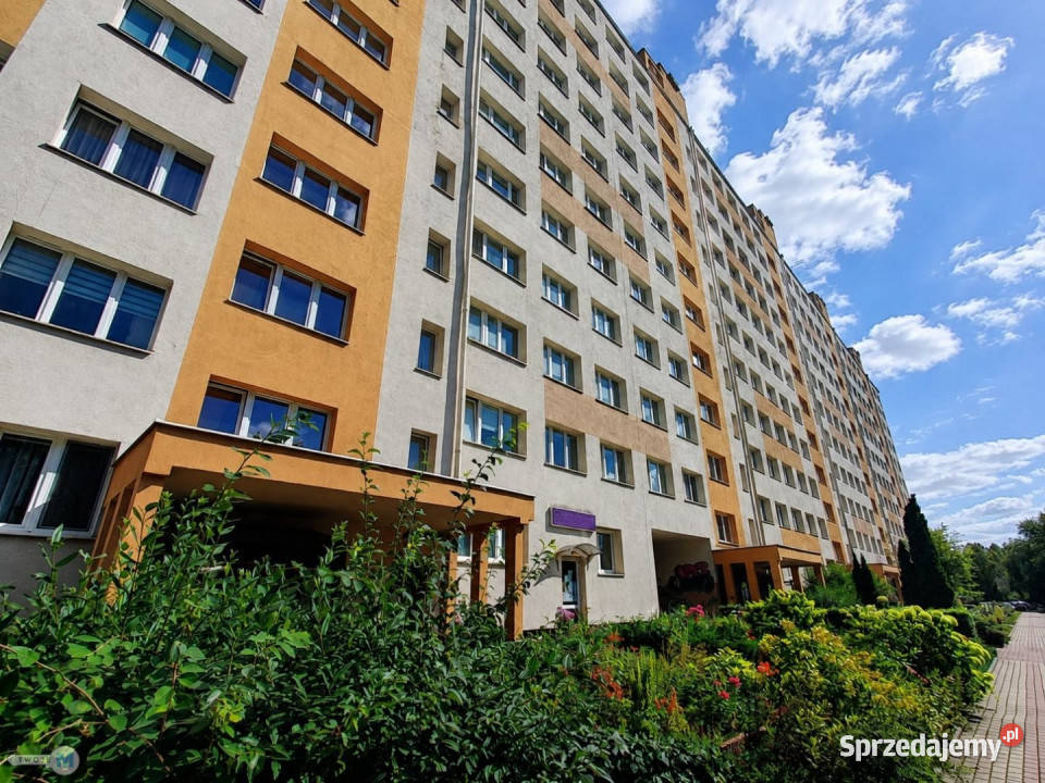 sprzedaży mieszkania 3755m2 2 pokojowe Kielce