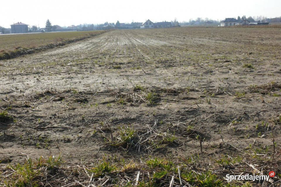 463arDZIAŁKA INWESTYCYJNA Sprzedaż Osmolice Pierwsze