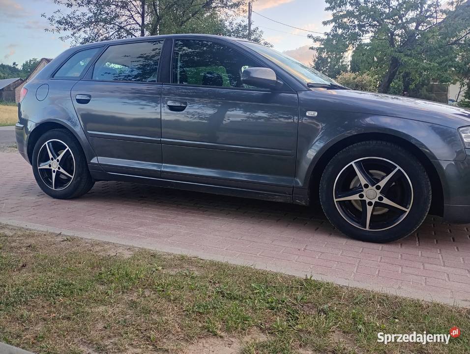 Audi A3 8p 5d 19tdi Goraj