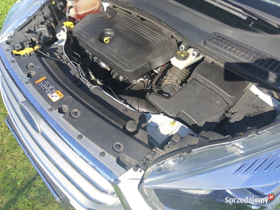 Ford Kuga Leszno