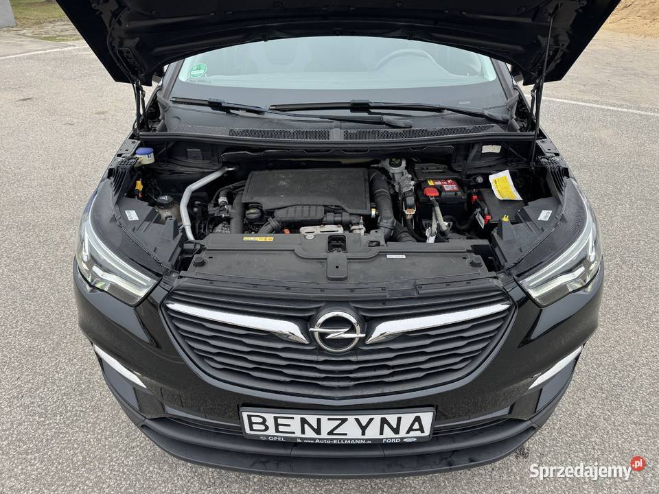 Opel Grandland X 12 BENZYNA Klimatronik światła LED Konin