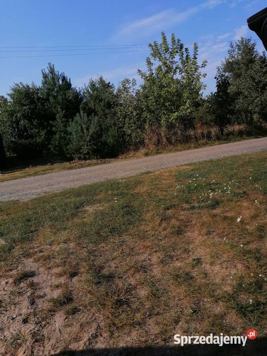 Syndyk sprzeda udział 75192 w pr włas