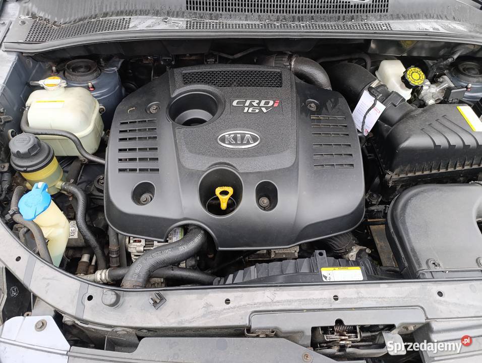 Kia Sportage 20D 140 2009r SUV Dzierżoniów