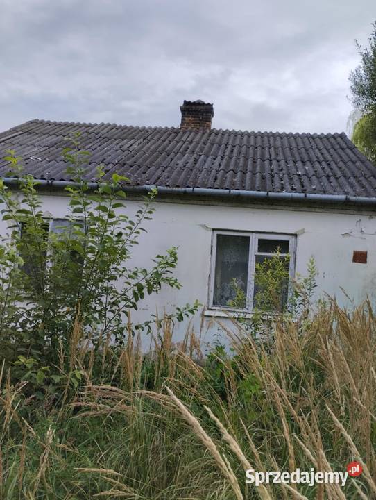 sprzedam dom Orłów Murowany