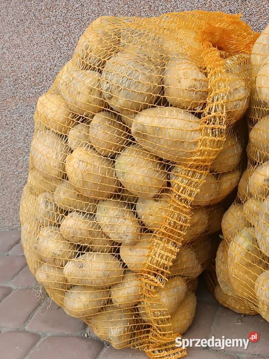 Sprzedam ziemniaki Ranomi Mirella Nowosielce