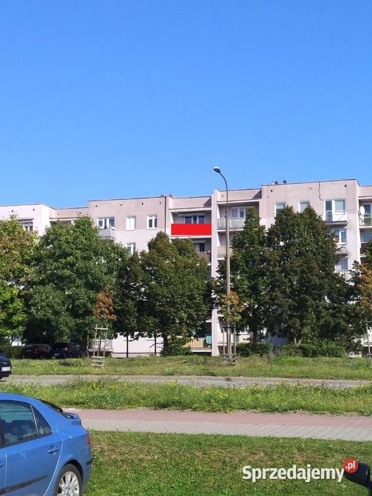 Wynajmę powierzchnię reklamową Świetna obok Cas Gorzów Wielkopolski