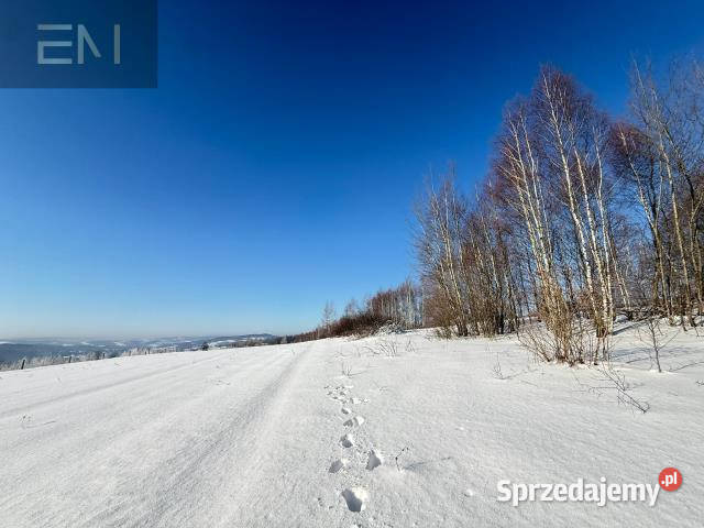 Grunt 4700m2 Gwoźnica Górna Sprzedaż