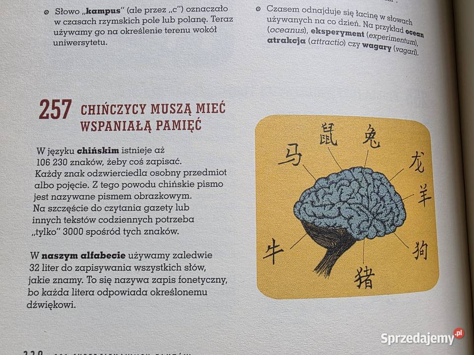 321 superciekawych faktów które trzeba poznać