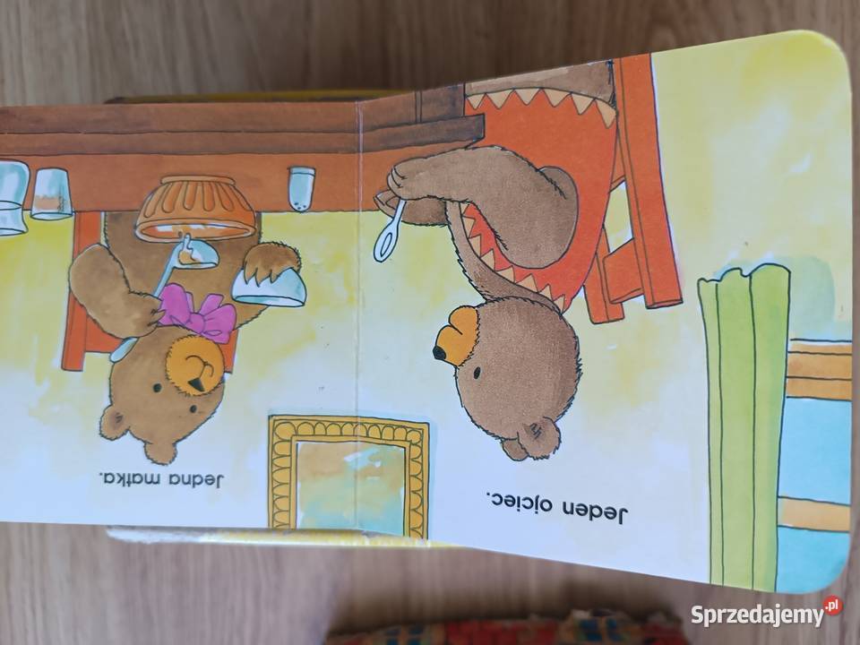 Cyfrowy domek niedźwiedzi 10 Lublin