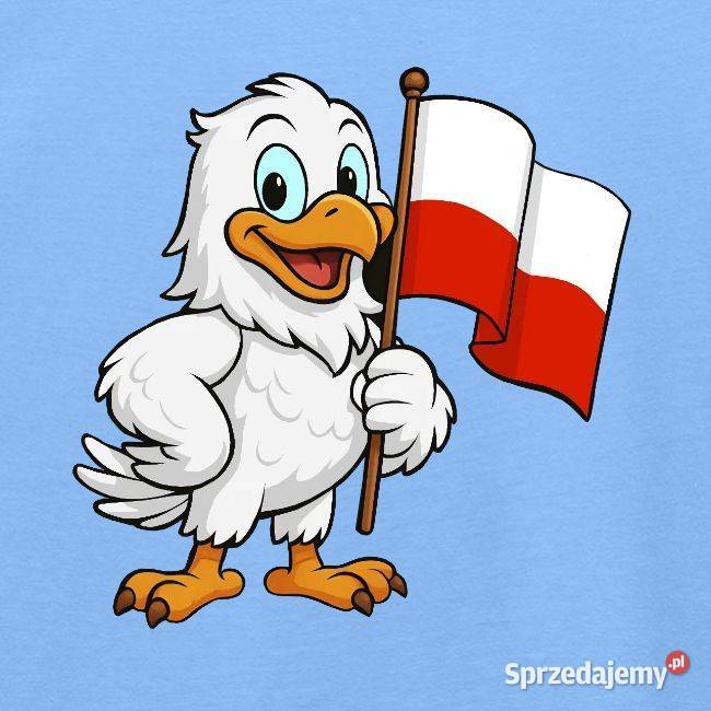Koszulka młodzieżowa Orzełek z flagą Polska Kraków