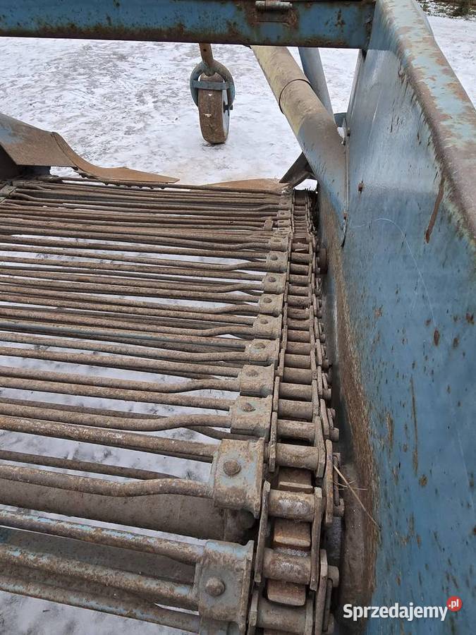 Kopaczka do ziemniakow Mogilno