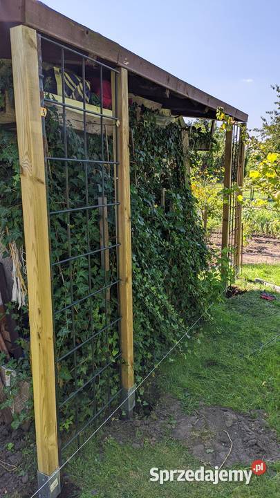 Sprzedam działkę rekreacyjną ROD Maciejka