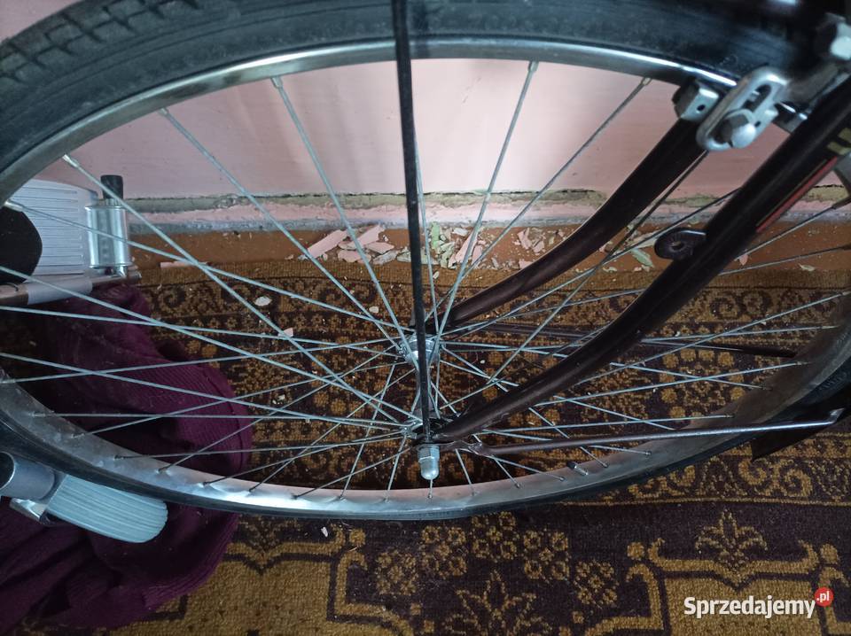 Rower damka holenderska