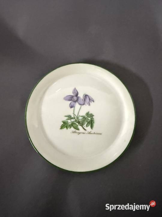 Talerzyki botaniczne Gorzów Wielkopolski