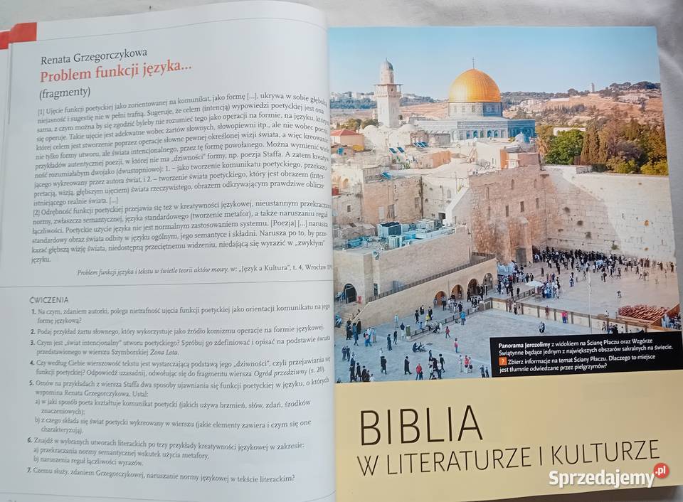 Język Polski Oblicza epok 11 Podręcznik liceum i