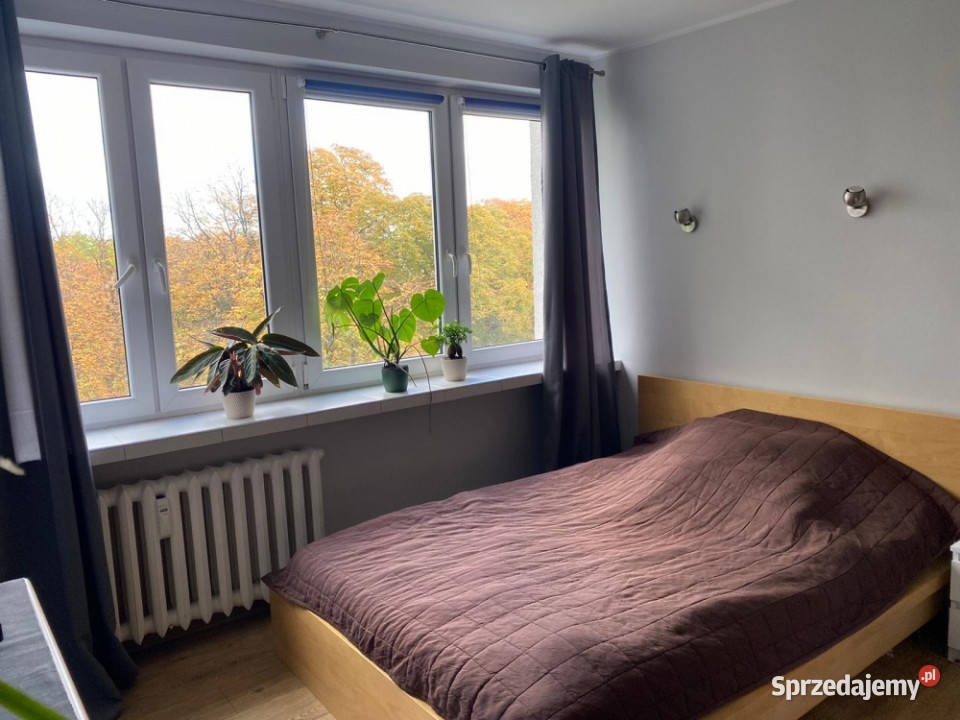 Metrze Marymont i Parku Bezpośrednio Kawalerka Warszawa