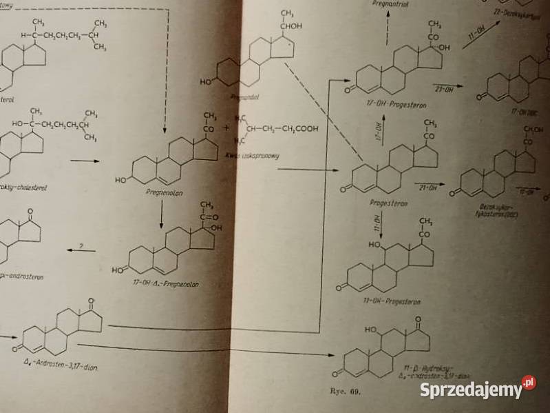 Enzymologia Kliniczna ESzczeklik medycyna medycyna, nauki medyczne Łódź