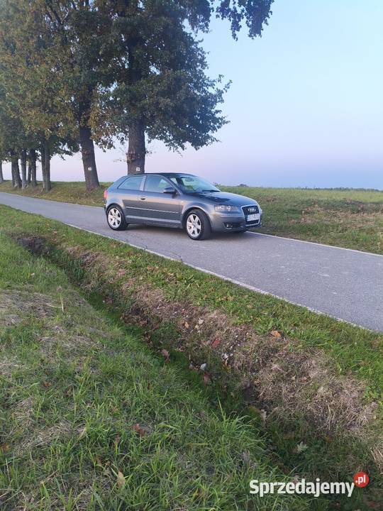 Audi A3 8p klimatyzacja śląskie Zbytków