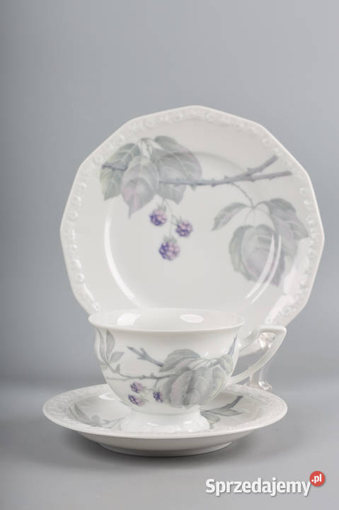 ARTexpert Rosenthal maria filiżanka jeżyna Szczecin